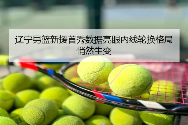 辽宁男篮新援首秀数据亮眼内线轮换格局悄然生变